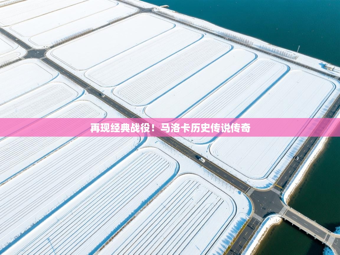 开云体育绑定手机指南-再现经典战役!马洛卡历史传说传奇  第2张