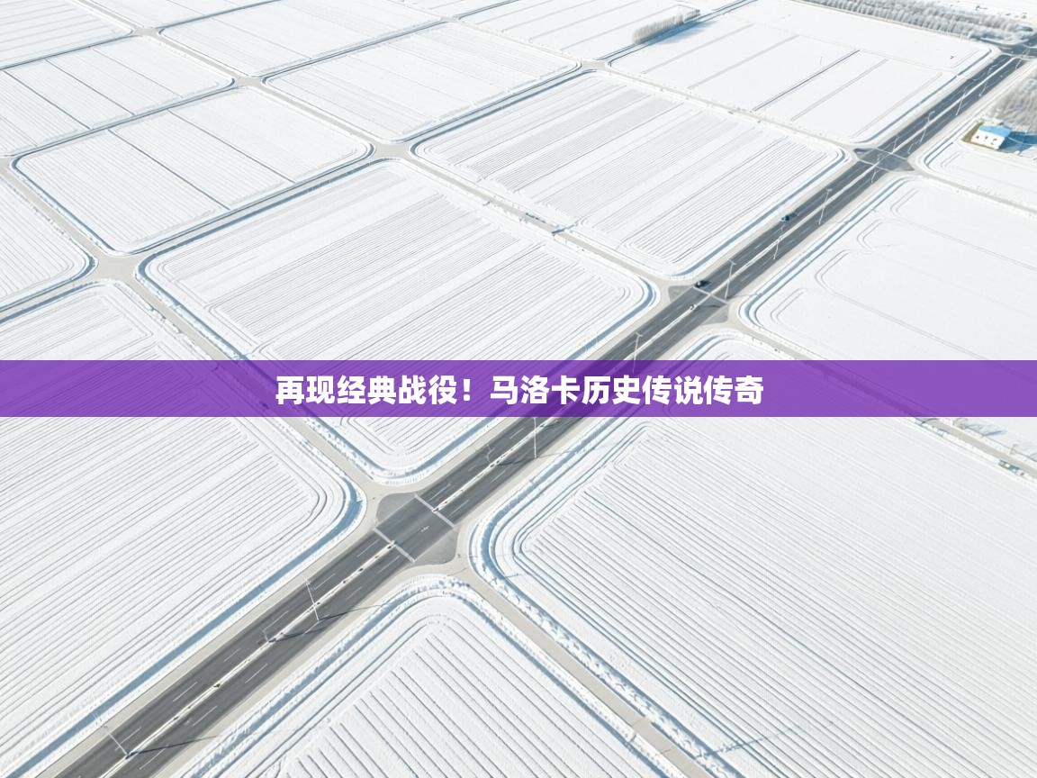 开云体育绑定手机指南-再现经典战役!马洛卡历史传说传奇  第4张