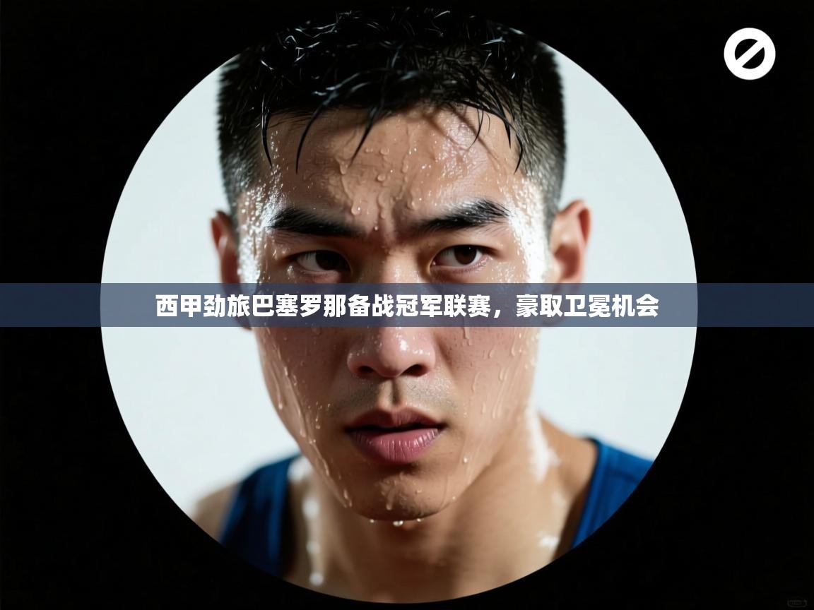 开云体育忘记密码找回-西甲劲旅巴塞罗那备战冠军联赛，豪取卫冕机会  第3张