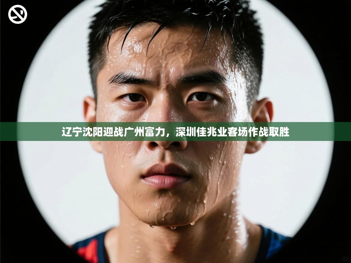 云开体育入口-辽宁沈阳迎战广州富力，深圳佳兆业客场作战取胜  第1张