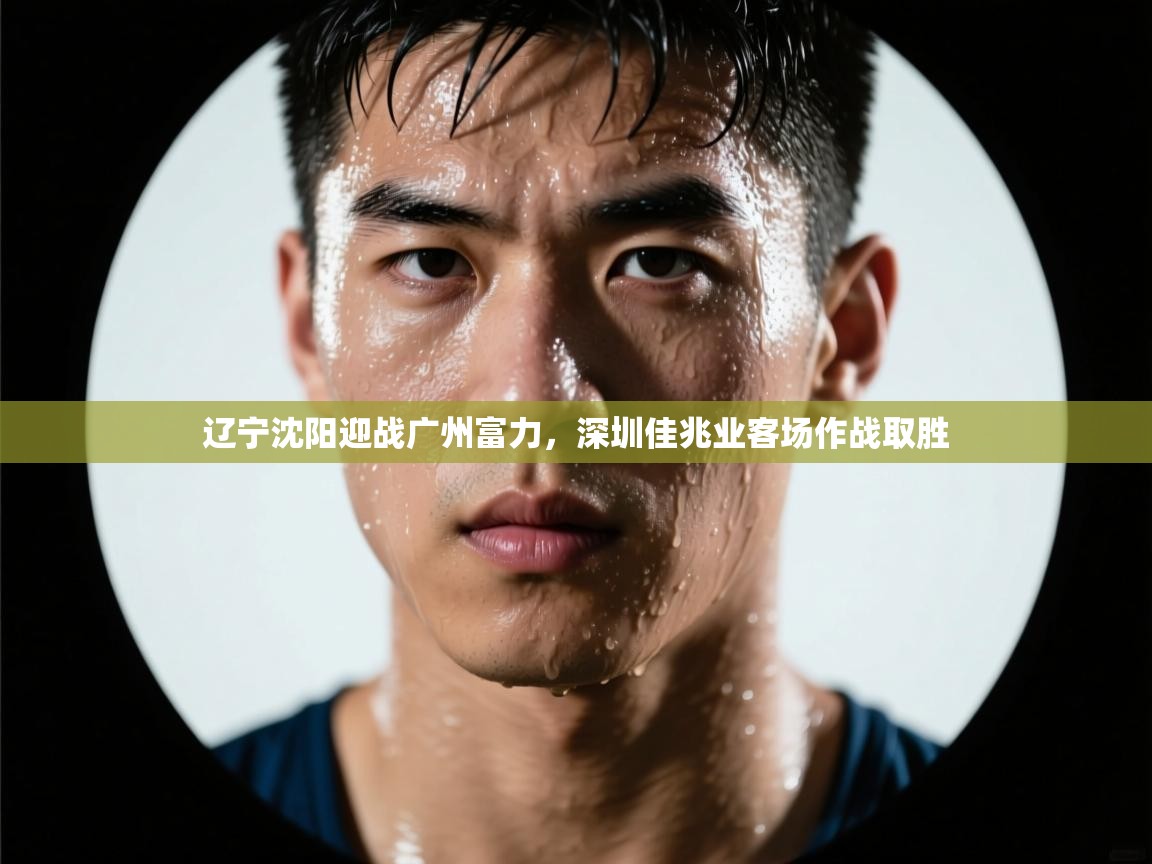 云开体育入口-辽宁沈阳迎战广州富力，深圳佳兆业客场作战取胜  第4张