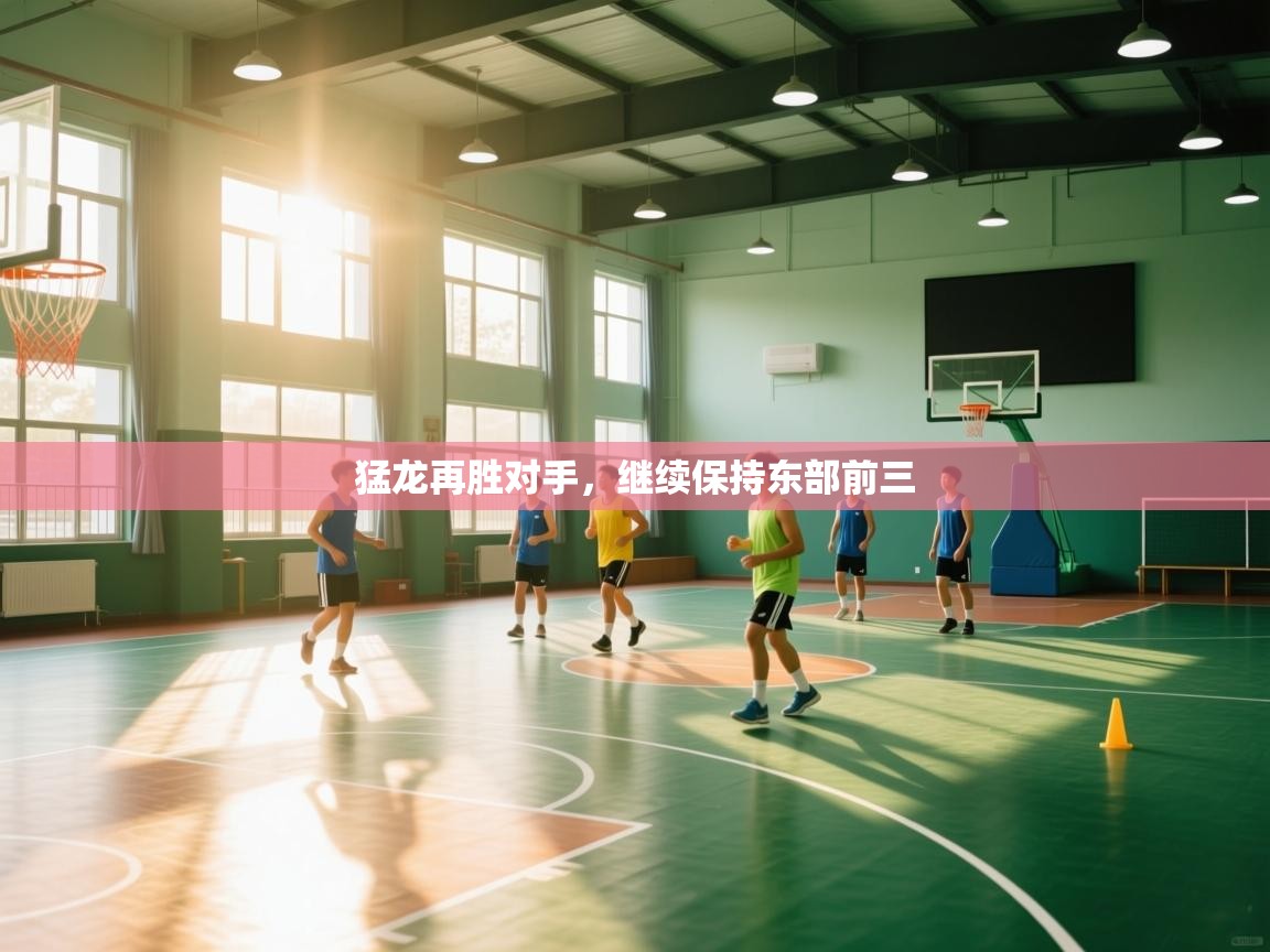 -猛龙再胜对手,继续保持东部前三 第1张