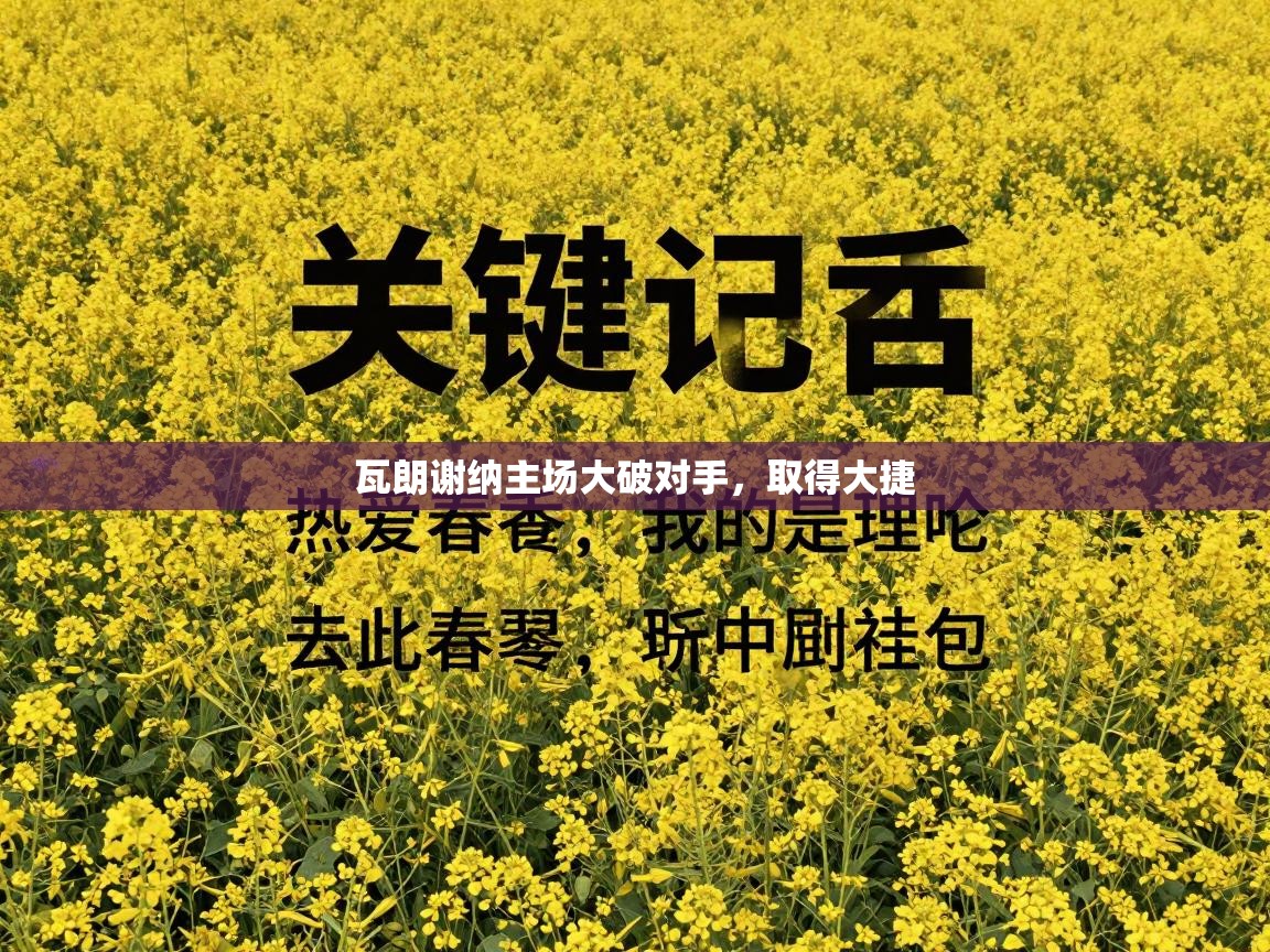 开云体育app官网入口-瓦朗谢纳主场大破对手，取得大捷  第1张
