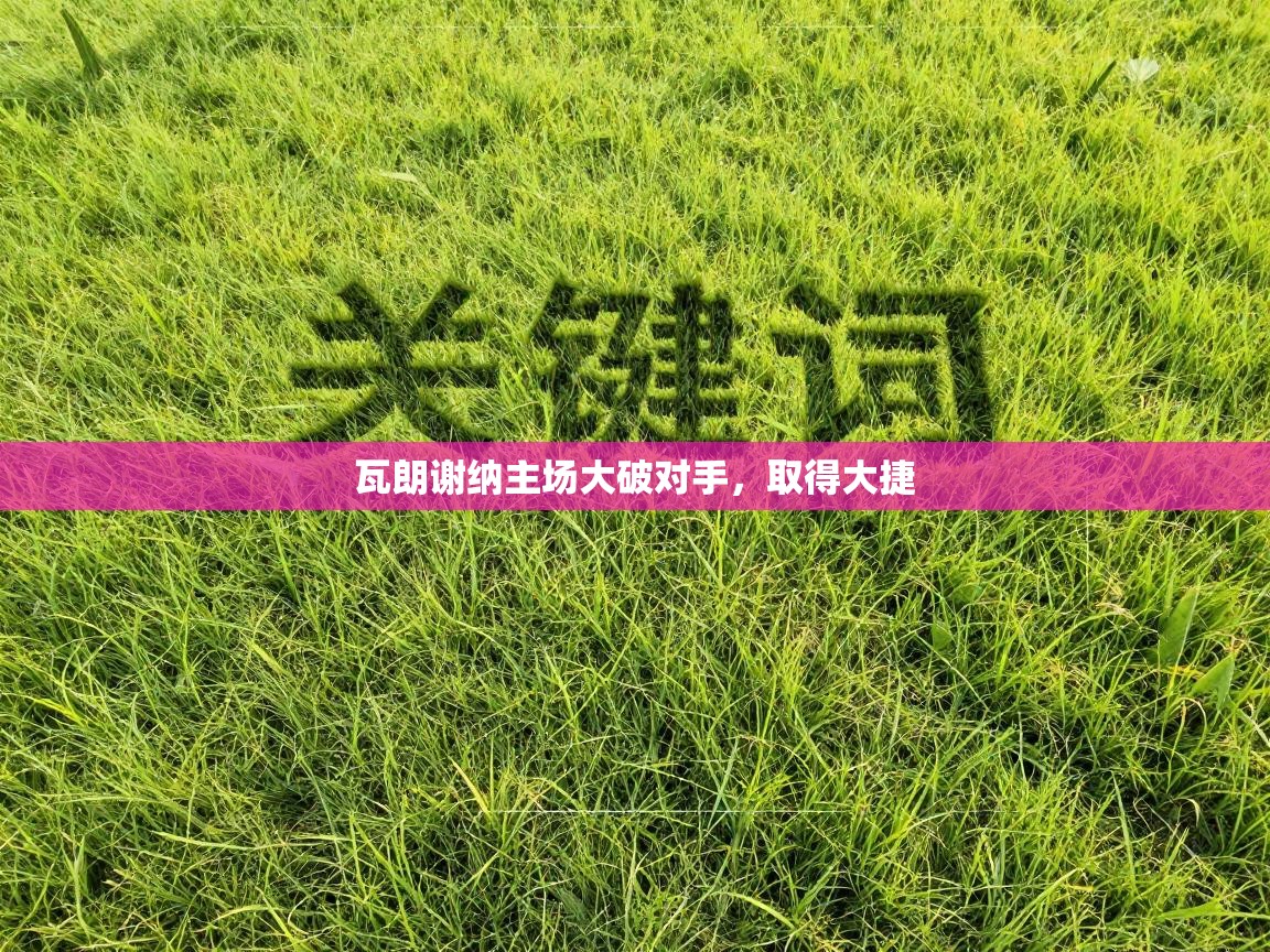 开云体育app官网入口-瓦朗谢纳主场大破对手，取得大捷  第2张