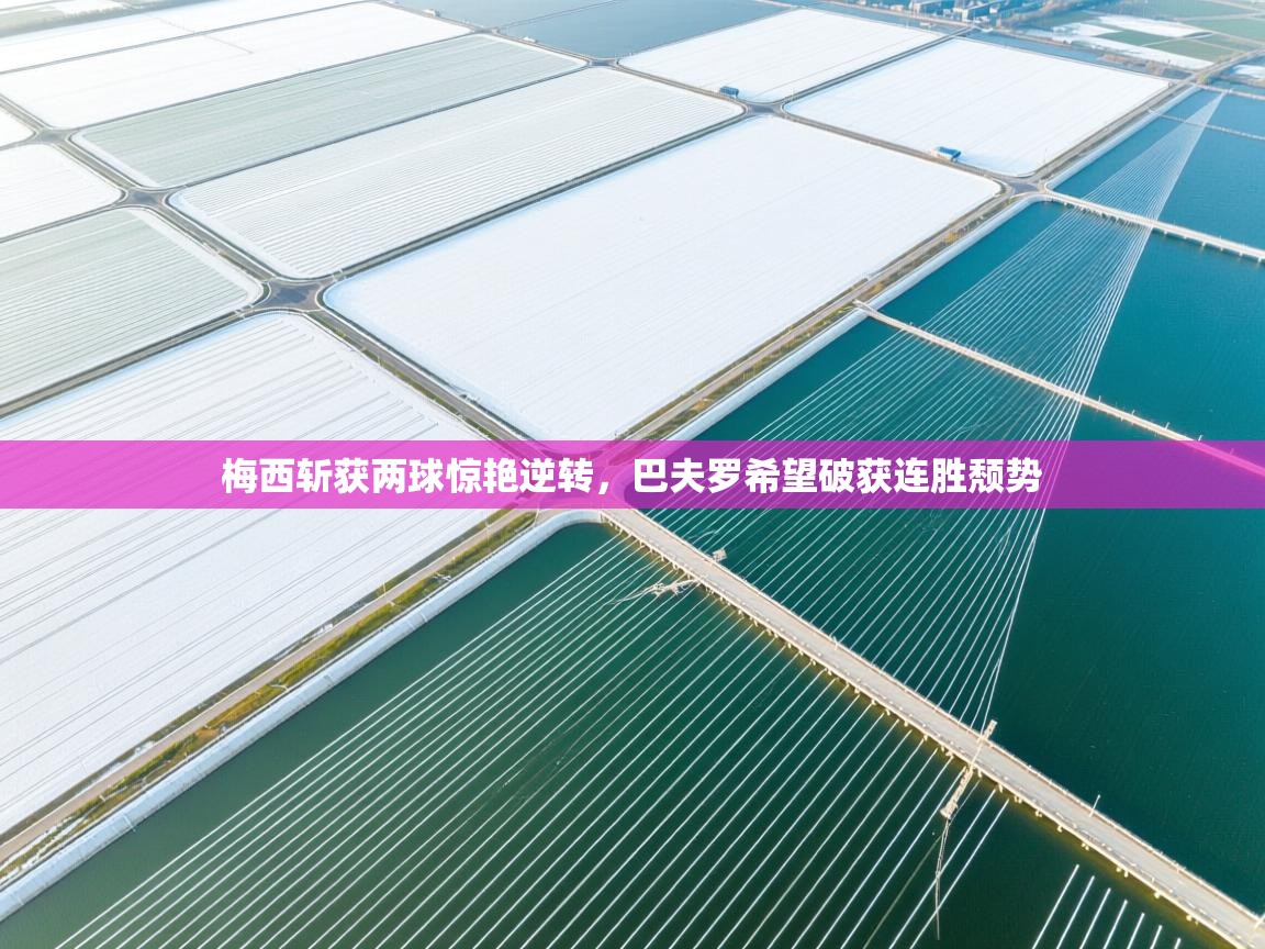 开云体育app下载-梅西斩获两球惊艳逆转，巴夫罗希望破获连胜颓势  第2张