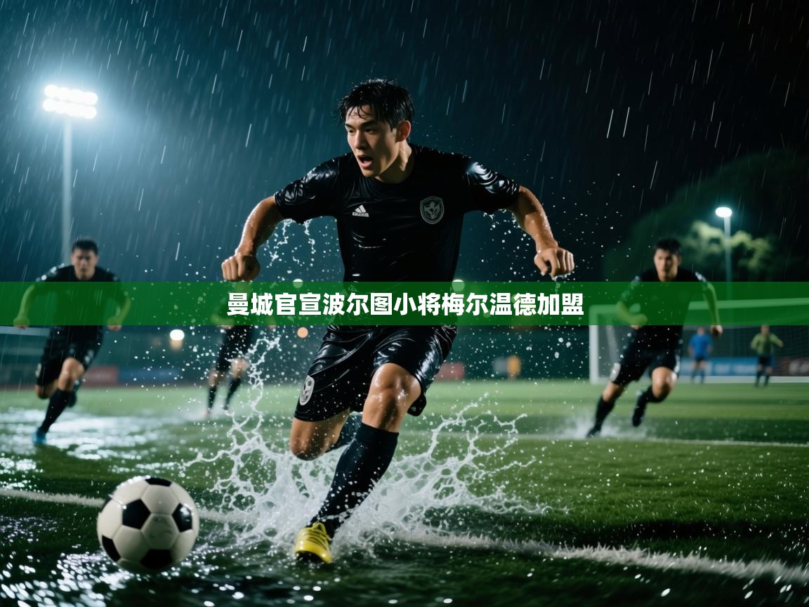 开云体育app登录入口-曼城官宣波尔图小将梅尔温德加盟  第2张