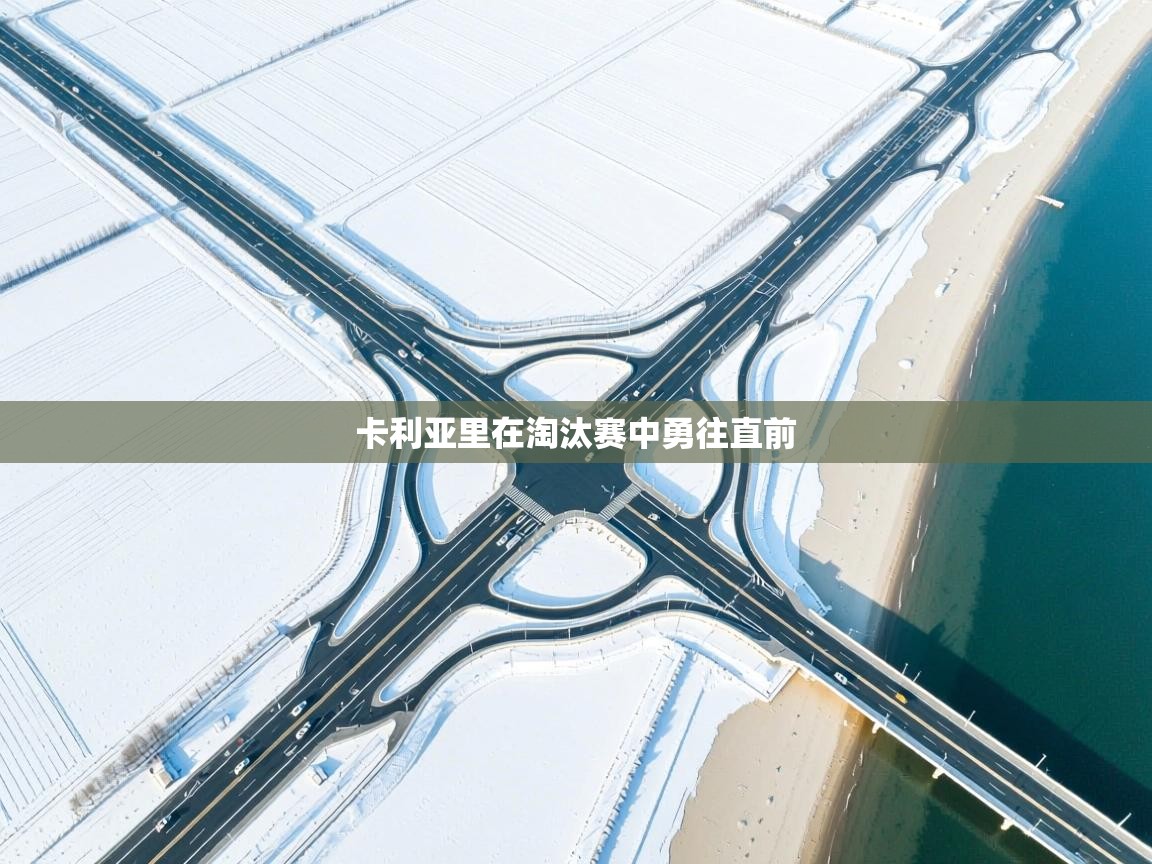 开云体育联赛专题页-卡利亚里在淘汰赛中勇往直前  第2张